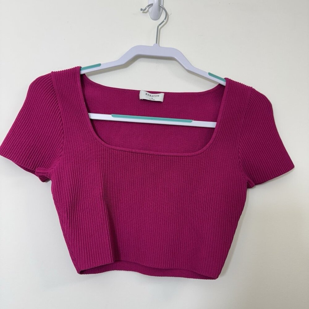 Babaton Aritzia Sculpt Knit Cropped Top Size M Stretch Ribbed Short Sleeve